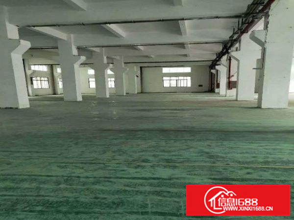 平湖杉坑工业区四楼新出来一整层1100