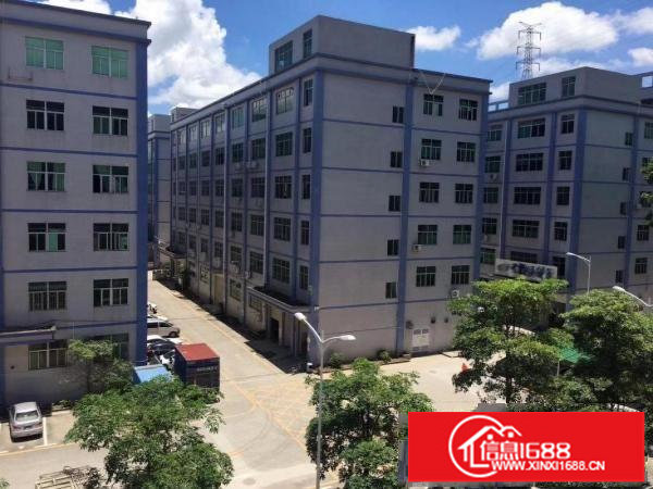 坂田厂房带装修230平方450平方650平方1500平方