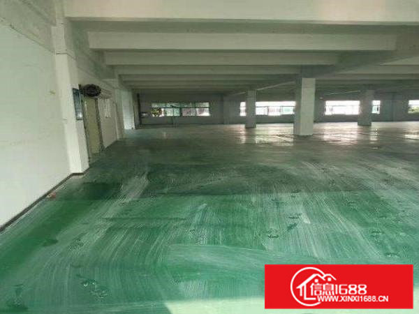 标准出来二楼1500平方，带地坪漆，消防喷淋，价格便宜