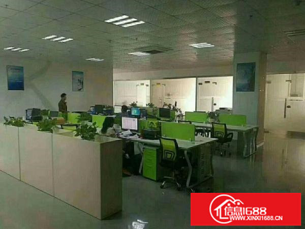 出租龙岗区龙东原房东独院厂房4200平带红本