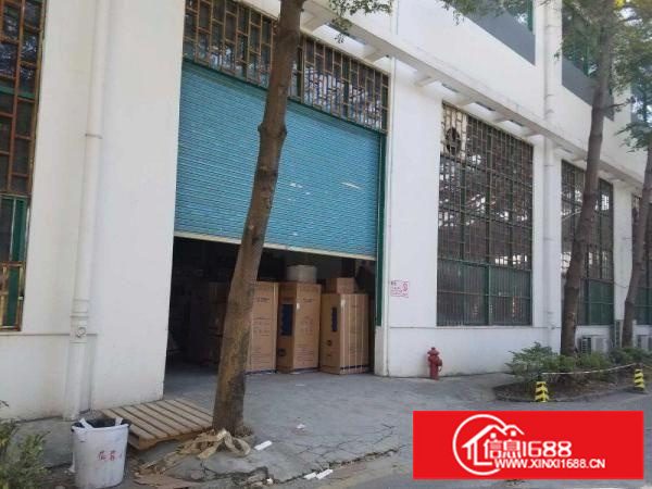 出租龙岗区坂田新出一楼办公仓库厂房600起租