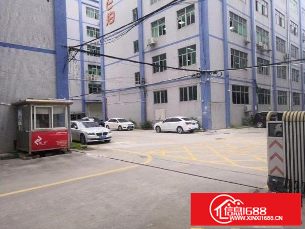 坂田厂房带装修230平方450平方650平方1500平方