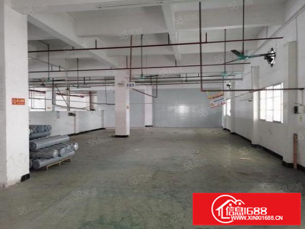 寮步石龙坑原房东一楼18元出租600平方