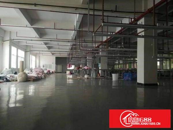 可做口罩车间厂房2100平方精装修有地坪漆办公家具齐全