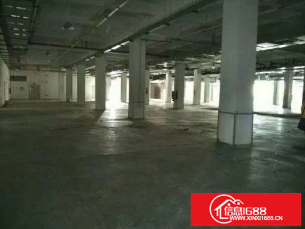 华南城清平高速出口独门独院1000平出租