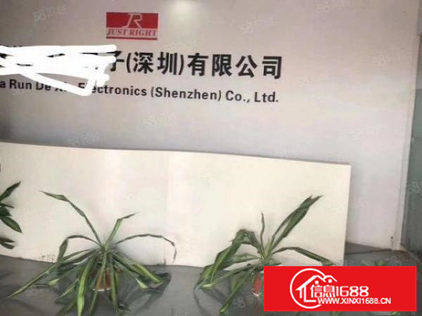 观澜松元大布头花园式工业园新出带精装修整层1760平转让