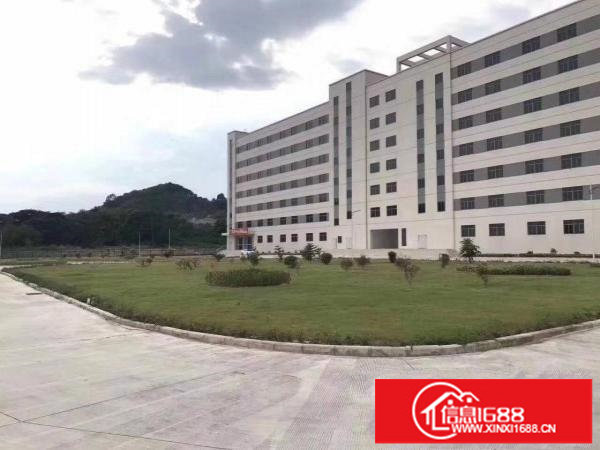 龙岗坂田独院12800原房东出租