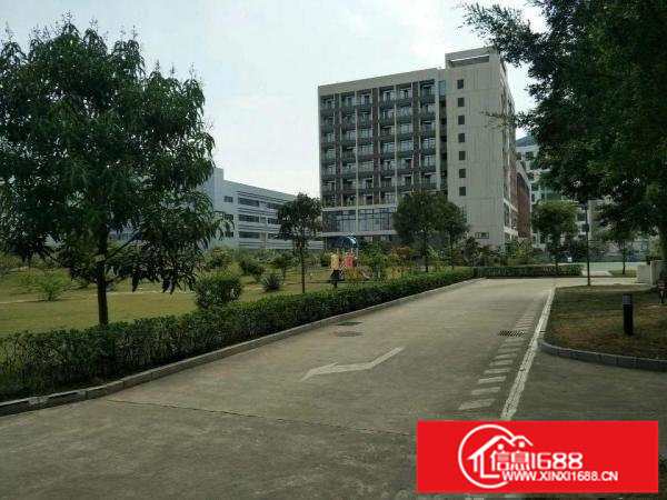 龙岗宝龙新出楼上2100平带装修厂房出租