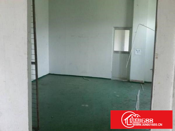 凤岗新出原房东厂房1000平方只租14元