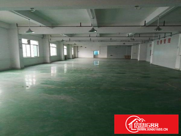 金凤凰（原房东厂房）楼上700平米招租