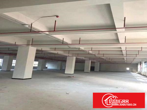 凤岗靠观澜平湖交界处原房东新建厂房