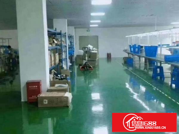 松岗松福大道边独门独院3层厂房家铁皮5000平米出租