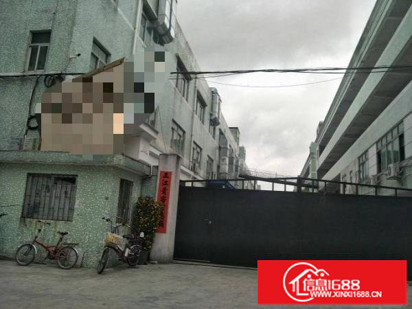 红本5600平独门独院厂房招租