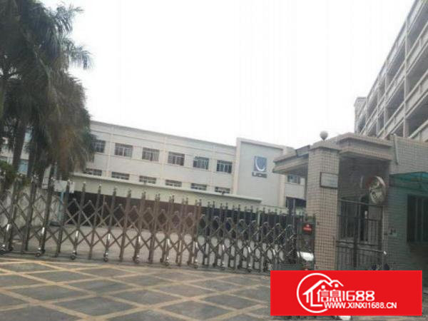 横沥新四一楼750平方二楼1200方标准厂房分租