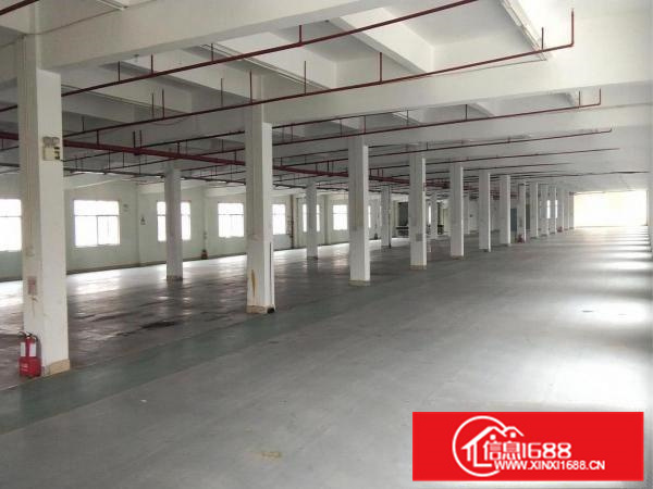 惠阳区三和独门独院双层标准厂房出租空地大交通好