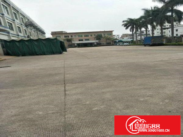 坪山石井楼上三千平方精装修原房东带红本出租