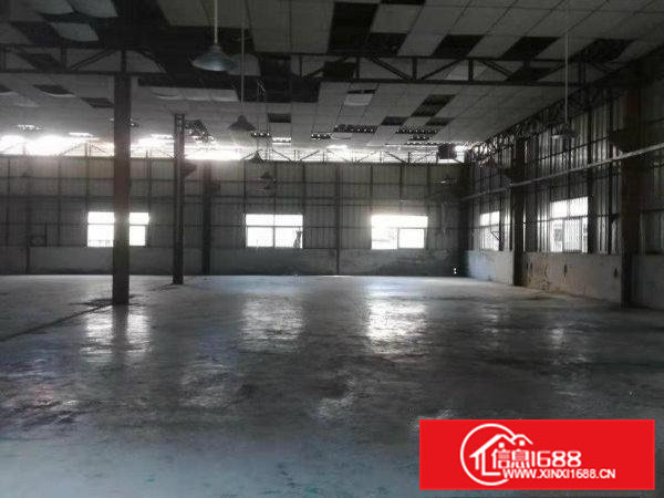 大岭山向东村空出村委原建单一层钢构厂房770平米出租