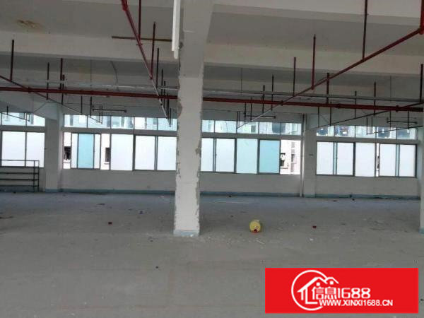 龙岗龙东100平至1200平原房东精装修厂房