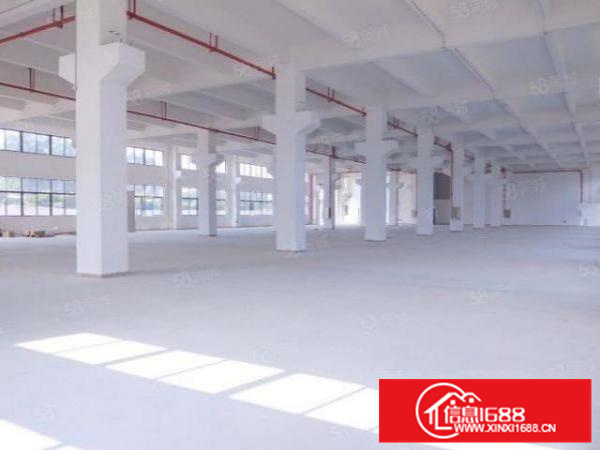 均安镇12500平方独院14层厂房产业保护区带红本可分租