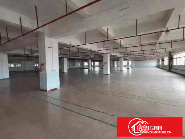 大岭山新出花园式标准厂房1280平方精装修可办环评