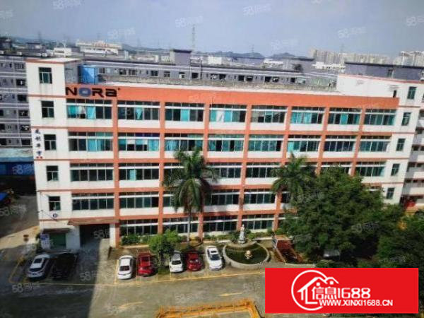 平湖原房东独院红本标准厂房17000平出租300平起分