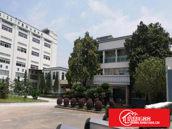 新茶山原房东花园标准厂房出租独立办公楼一楼7米高500无居民