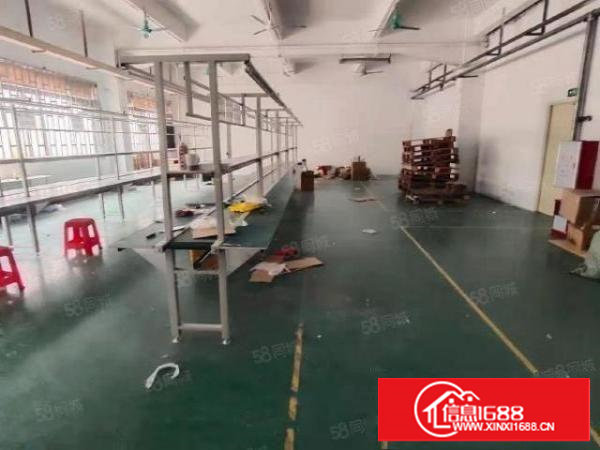 塘厦凤凰岗新出楼上厂房600平，精装修，主线到位无公摊