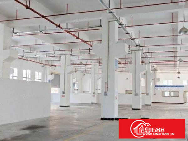 桥头镇全新重工业厂房1楼带牛角