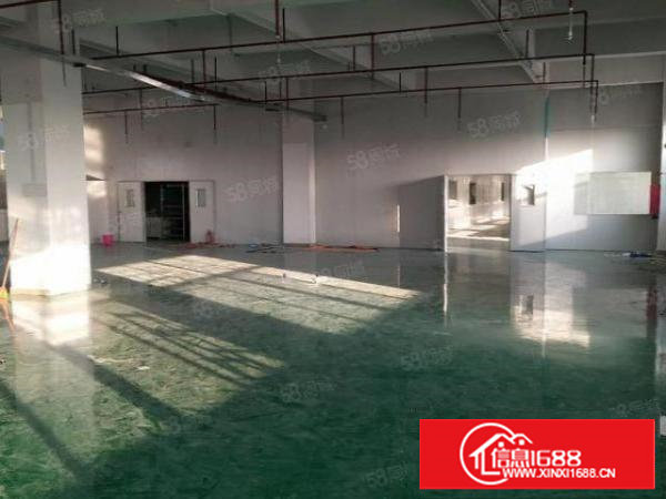 长安沙头轻轨站附近新出楼上600平方带办公室精装修厂房出租