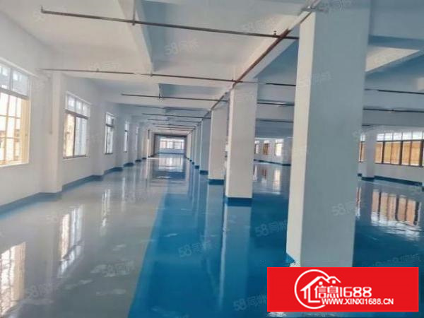 简沙洲全新改造标准厂房,现成水电豪华装修。可按需分租