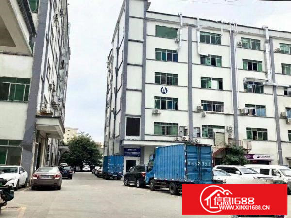 坂田上雪科技园300平500平1000平带装修