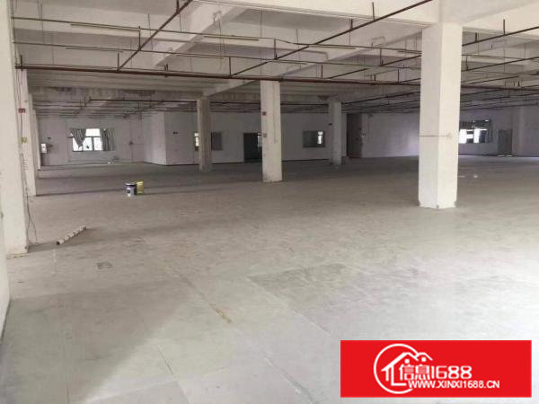 东莞市横沥镇东部快线边上大型工业区按需分租