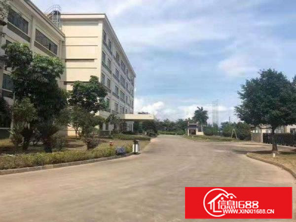 龙岗坪地原房东厂房适合高新产业电子贸易科技医疗研发等