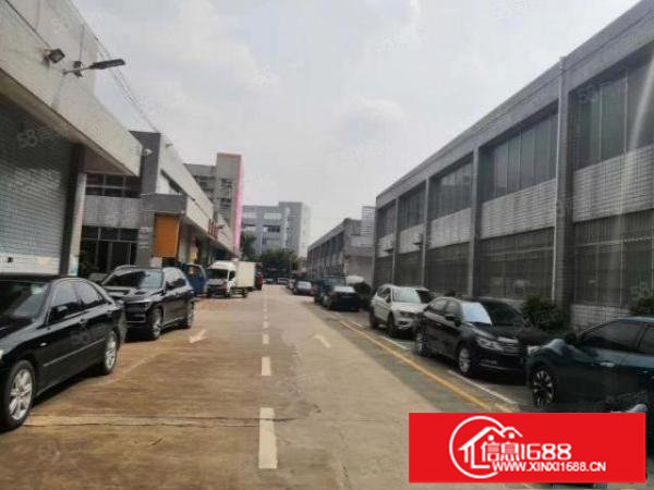 松岗107国道新出单一层独栋标准一楼带牛角厂房招租