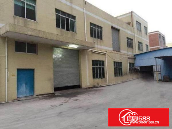 塘厦振兴围小两层独院1550平方！现成主线装修