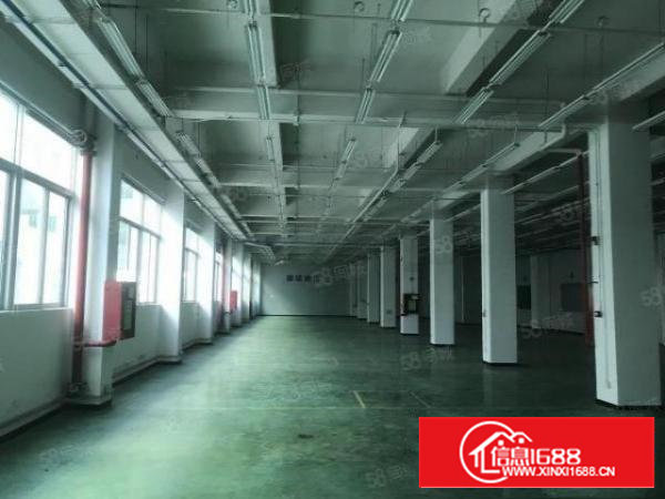 西乡独门独院厂房18000平厂房仓库大小可分隔