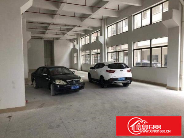 石排新出原房东小独1800平方出租全新装修