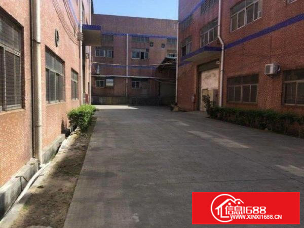 出租|大岭山连马路边新出450标准厂房招租层高7米，好进出车