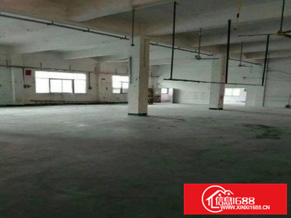 常平漱旧新出一楼楼上各1500平米精装修厂房急租