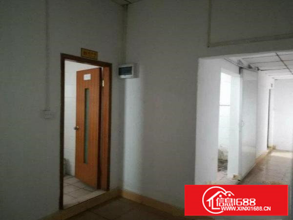 新民社区2000平火热招租可分交通方便行业不限