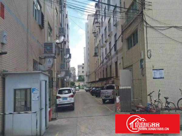 永湖地铁站100米新出2楼整层900平方带精装修办公室