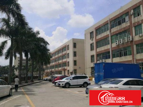 布吉丹竹头简装办公厂房210~1640平出租，丹竹头地铁站旁