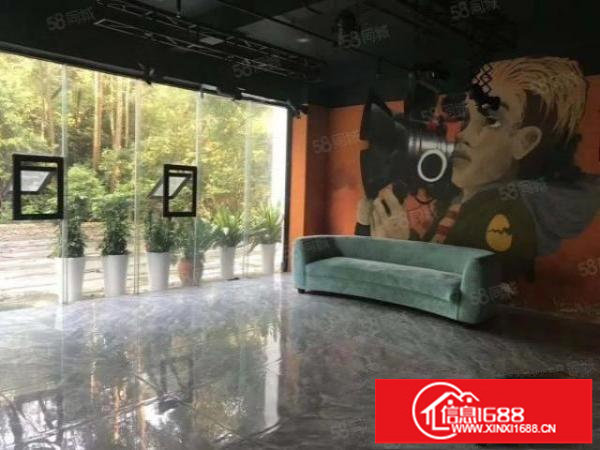 横岗红本厂房高新产业园一万平方精装修办公楼出租，大小可分租