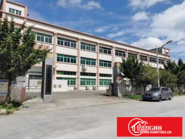 丹灶荷村1楼1500平厂房/仓库出租可生产加工