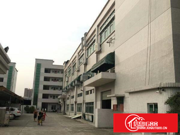 万江工业区标准一楼1000平方招租水电齐全五金加工福音