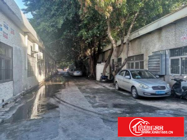 一楼1000平方，原房东