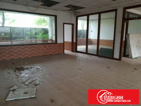 坪山大工业区新出独门独院3000平12F