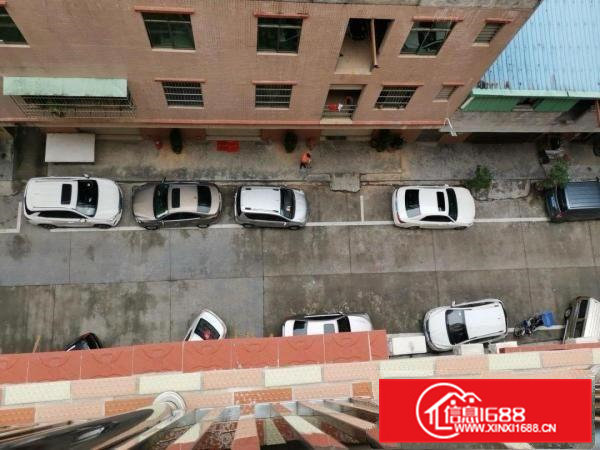 电梯厂房毛织厂一手房东