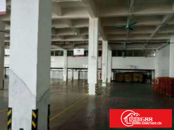 万江简沙洲港口大道边3楼4500平方厂房仓库出租轻工业生产等