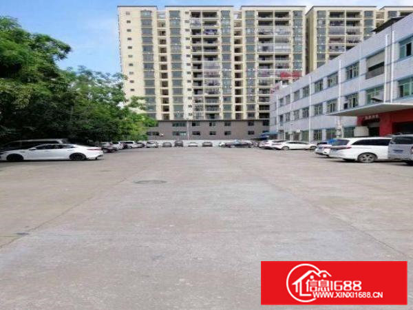 新联即将空出1楼厂房650平，带装修，水电齐全厂房